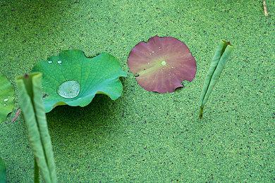 《塞尔达传说：王国之泪》容量降至16G 仍为NS第一方游戏之最